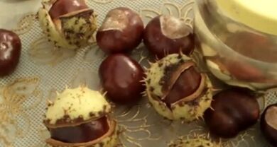 Using horse chestnut to treat varicose veins